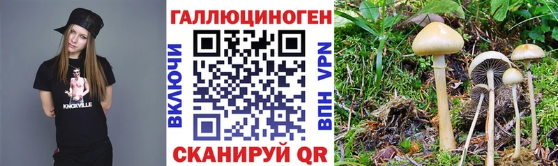 наркота  Мосальск  Галлюциногенные грибы MAGIC MUSHROOMS 